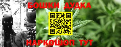 PSILOCYBIN Будённовск