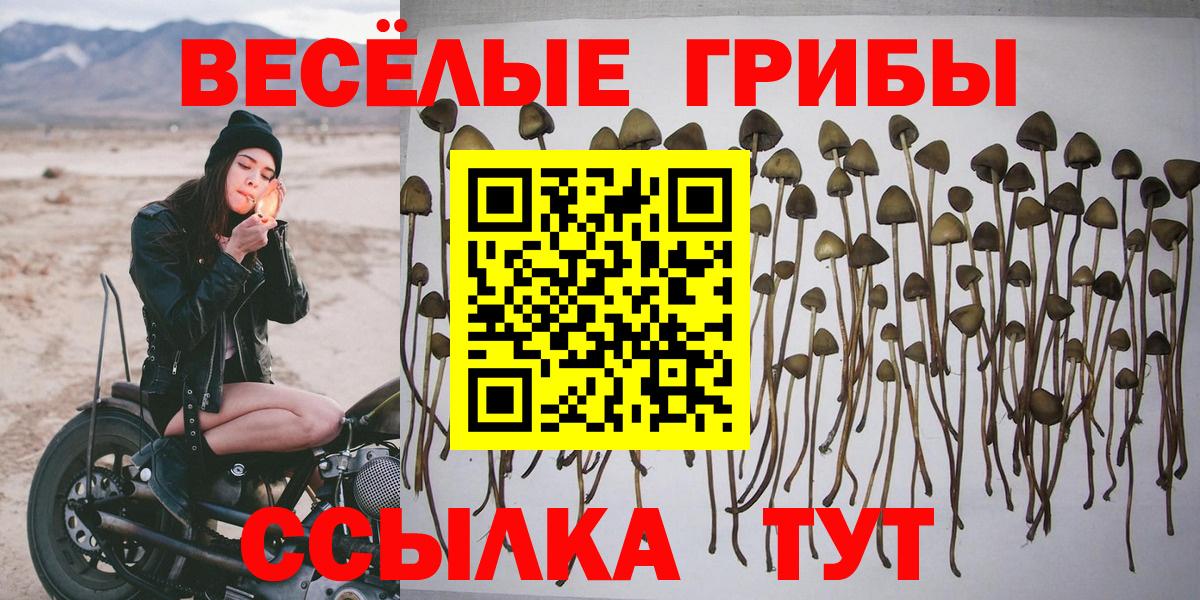 Псилоцибиновые грибы GOLDEN TEACHER Тейково