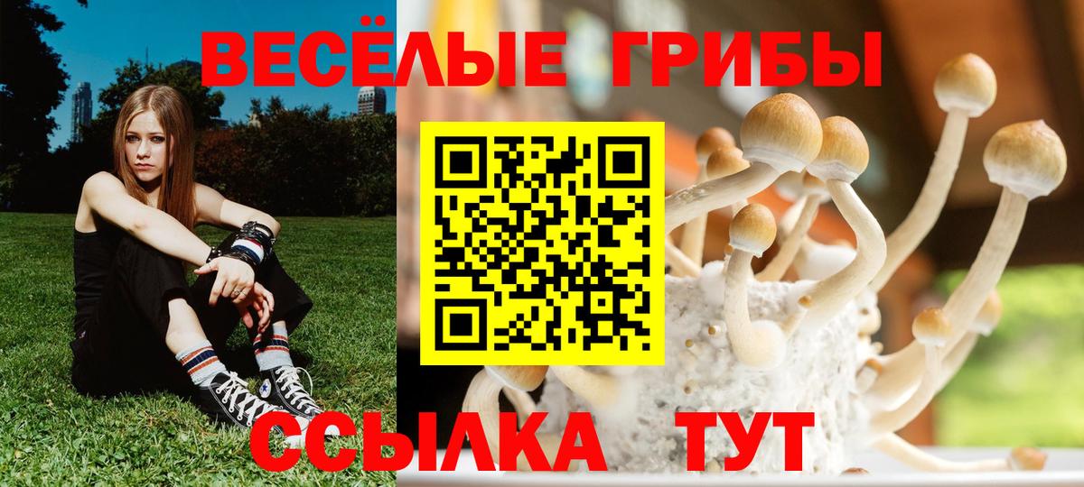 Псилоцибиновые грибы GOLDEN TEACHER  Вход с VPN  Тейково 